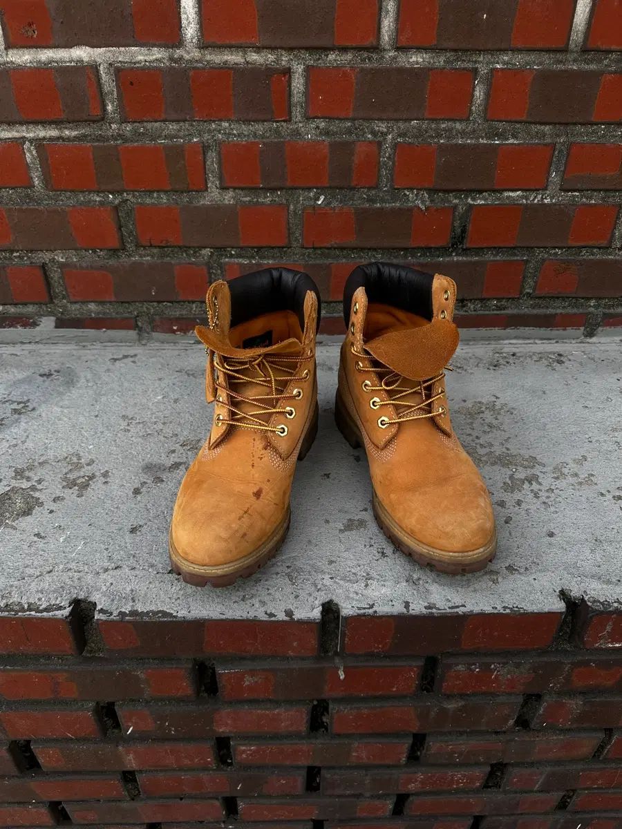 Timberland 6インチ 防水ブーツ 11,347円