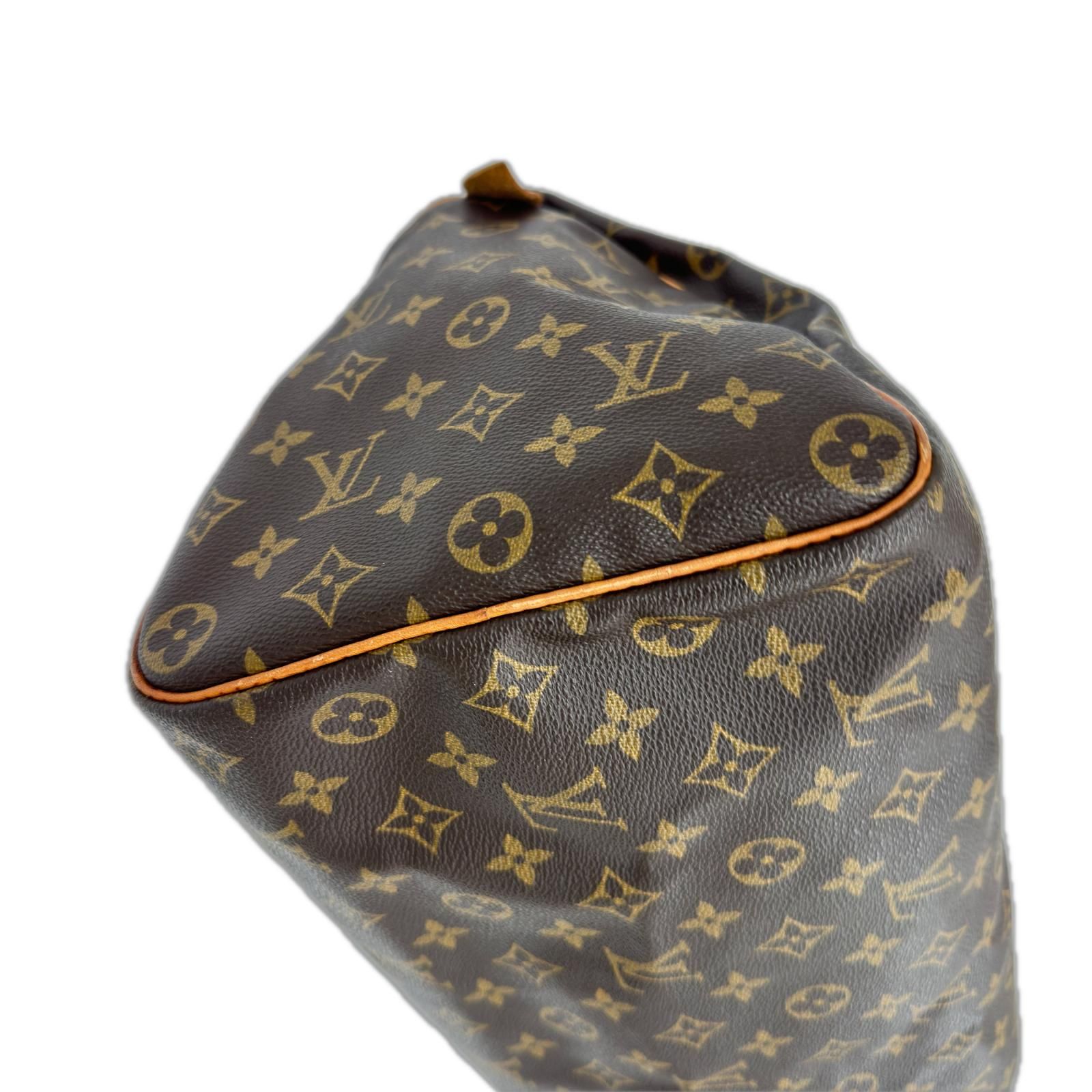 LOUIS VUITTON ルイヴィトン ミニボストンバッグ ハンドバッグ