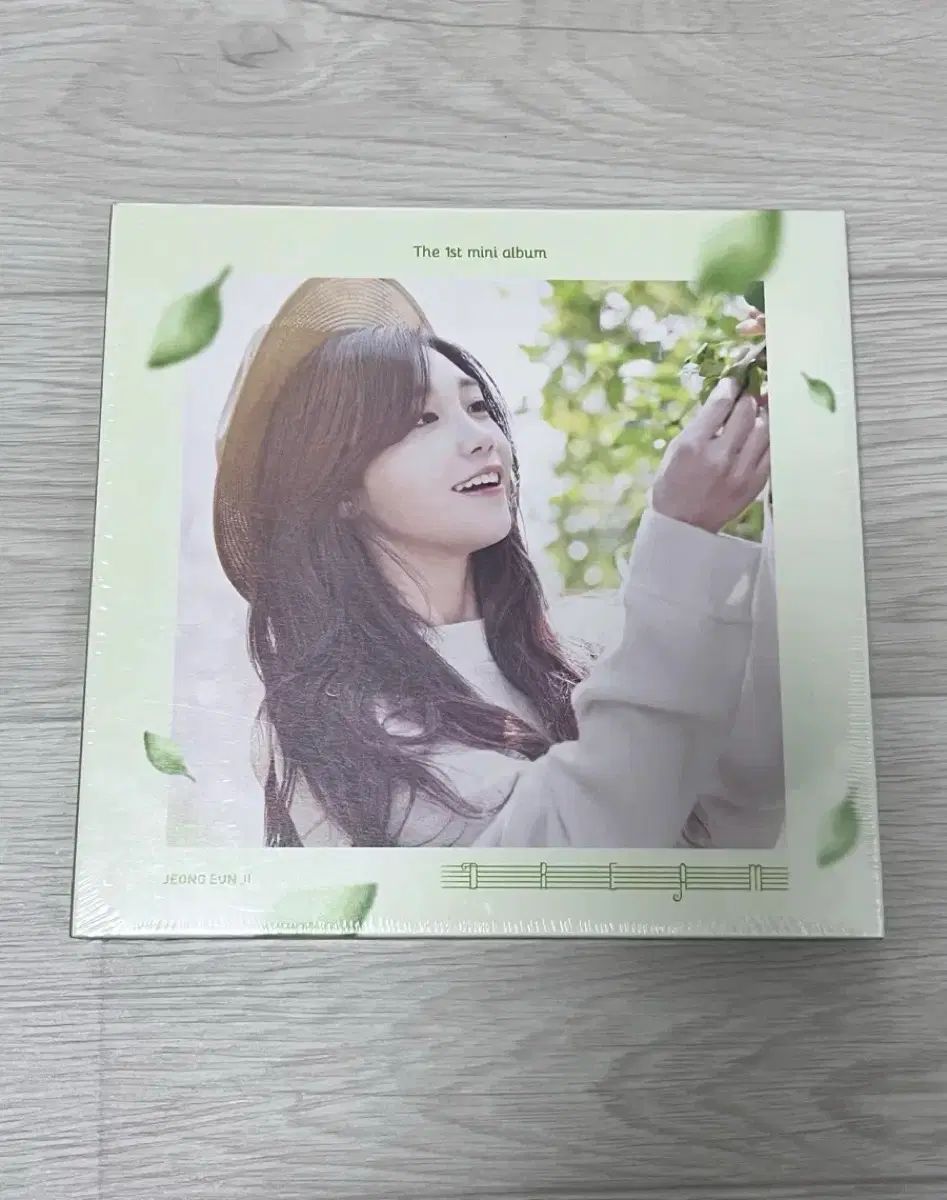 チョン・ウンジ(JEONG EUNJI) 앨범 出品