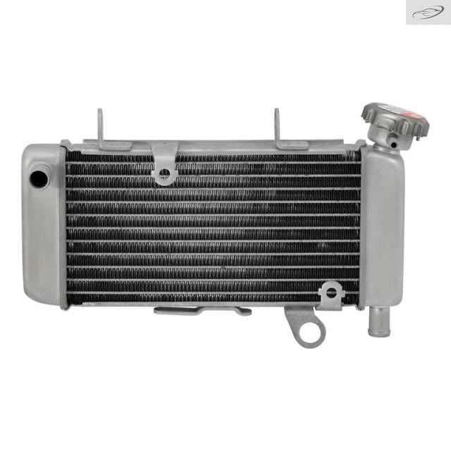 Motorcycle Radiator Cooler Cooling Honda CB150R CBR 150R K45A 2013-2014