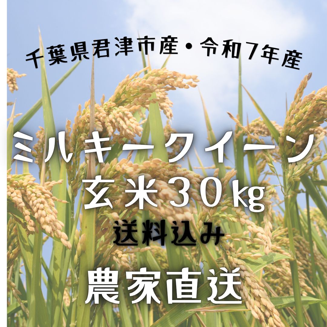 千葉県産ミルキークイーンR7年産】【玄米30kg】【農家直送】 - メルカリ