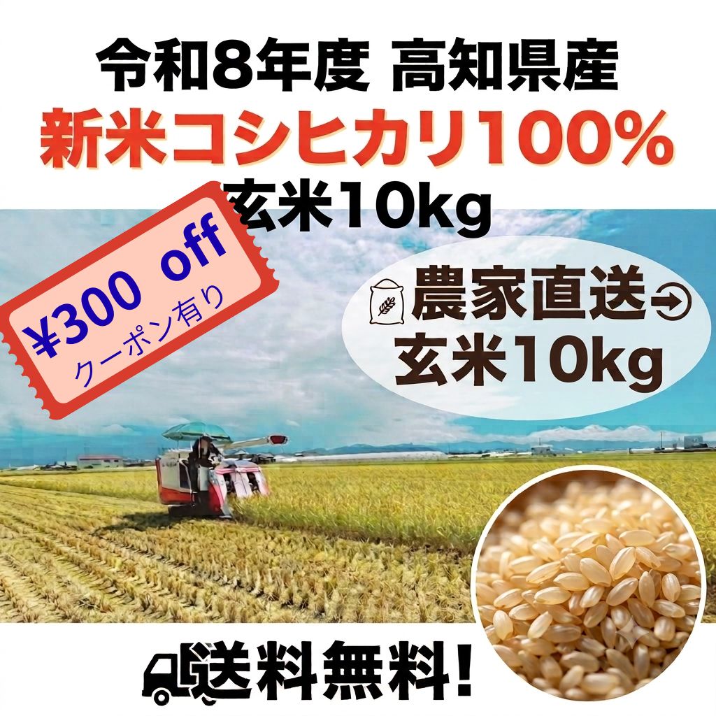食品 新米！令和2年度 高知県産コシヒカリ 10kg玄米 精米無料