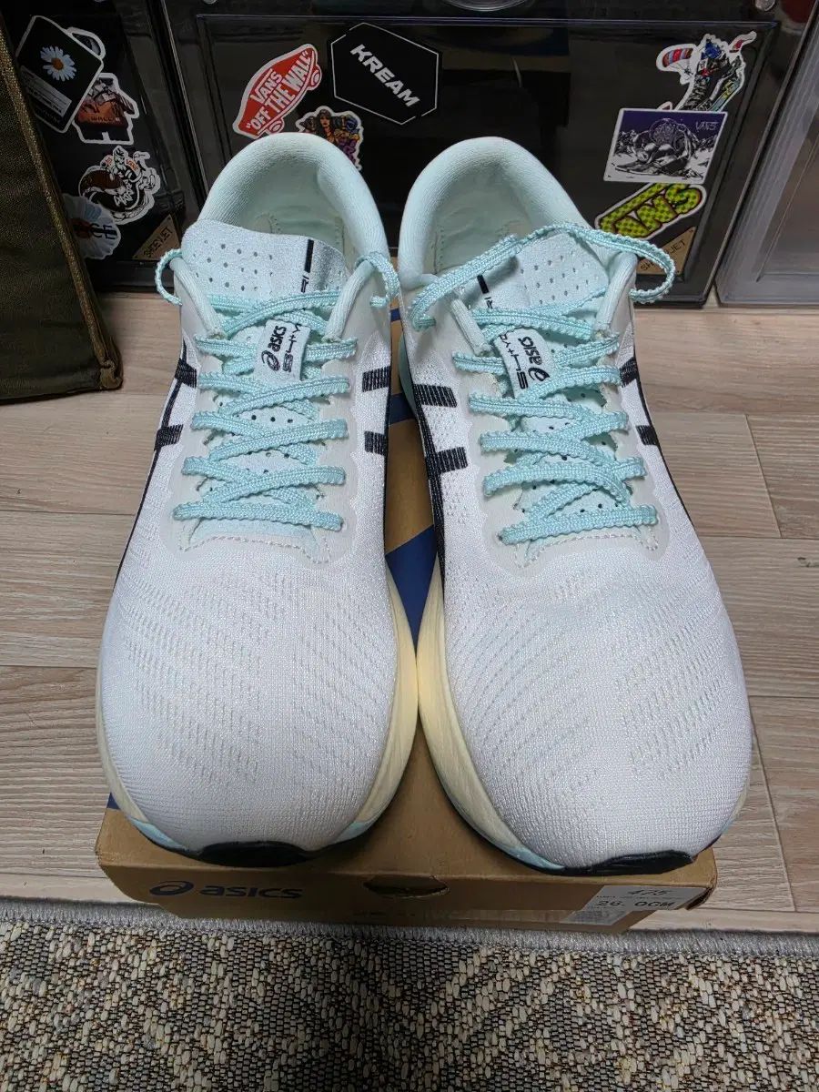 アシックス S4+ ヨギリー 260