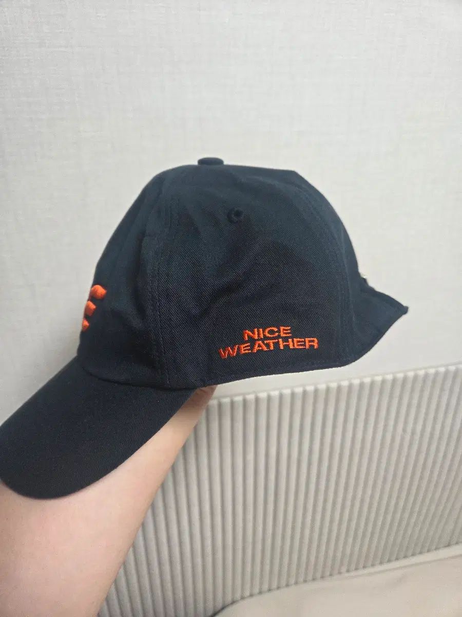 ハンファ・イーグルス ナイスウェザー コラボ 帽子 出品