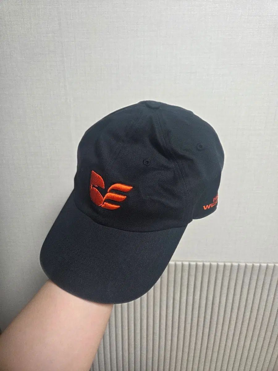 ハンファ・イーグルス ナイスウェザー コラボ 帽子 出品