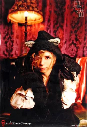 中古】ポスター(男性) B3クリアポスターA Acid Black Cherry 「CD 黒猫