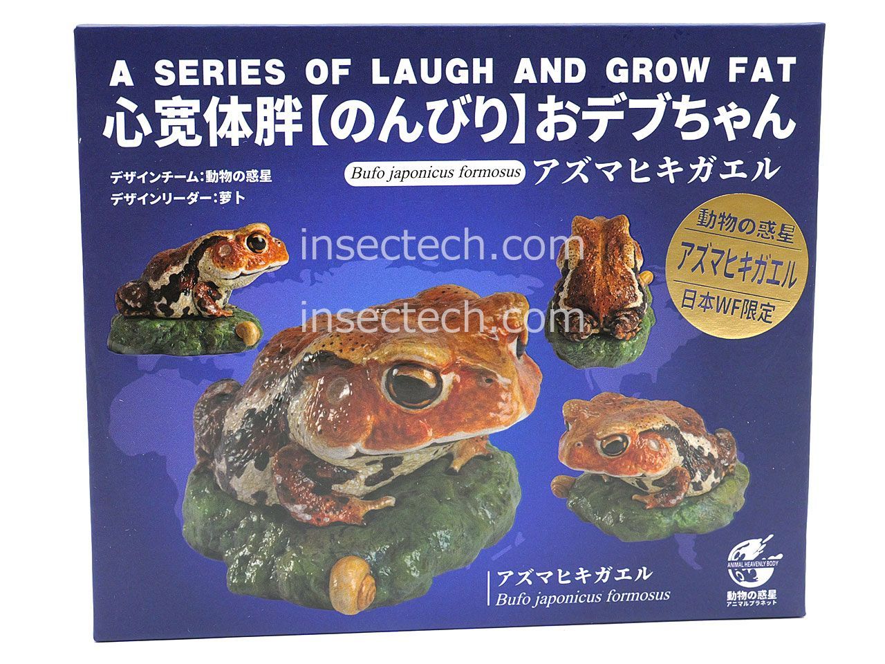 フィギュア 【動物の惑星】「WF2026S限定」アズマヒキガエル フィギュア