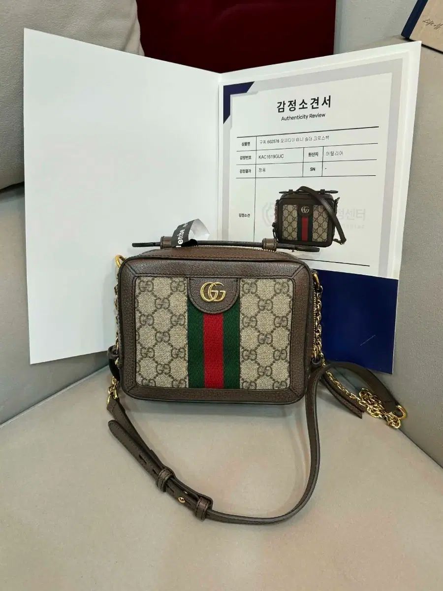 グッチ オフィディア カメラ クロスバック