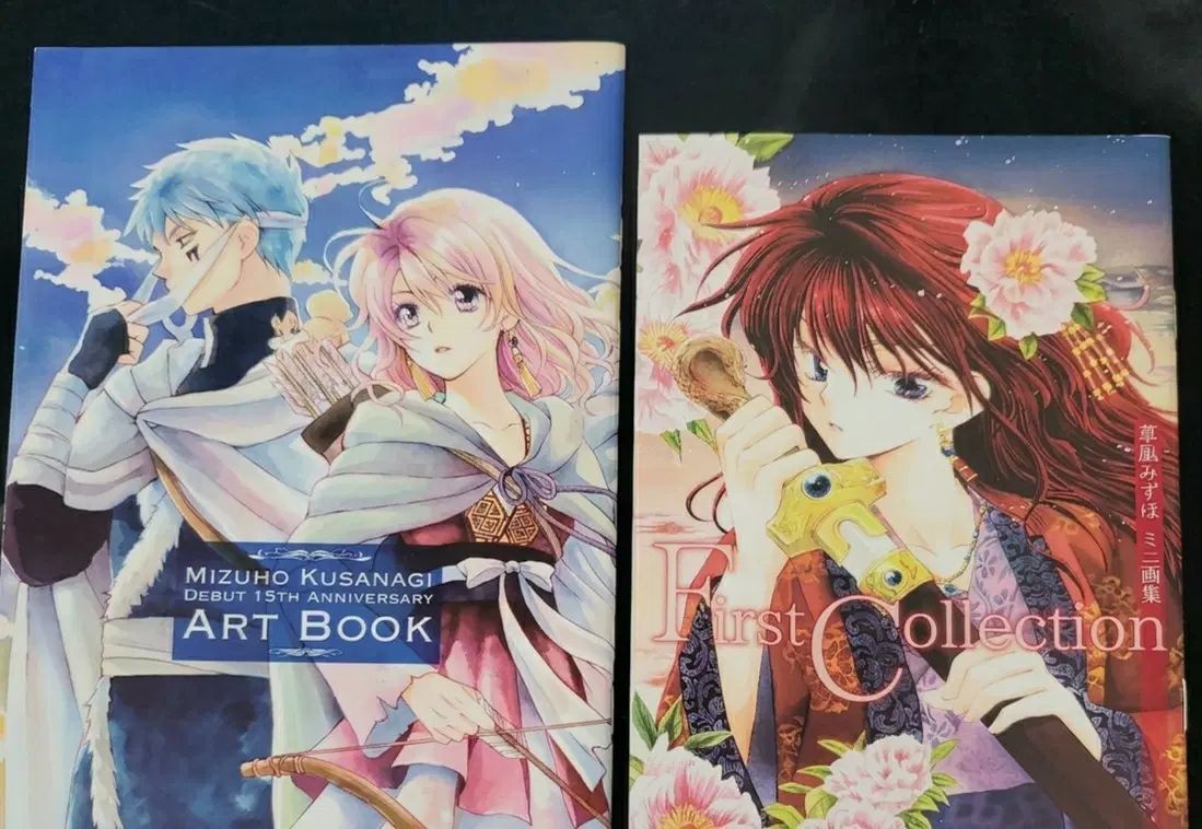 暁のヨナ アートブック ミニ画集 レア 16,392円