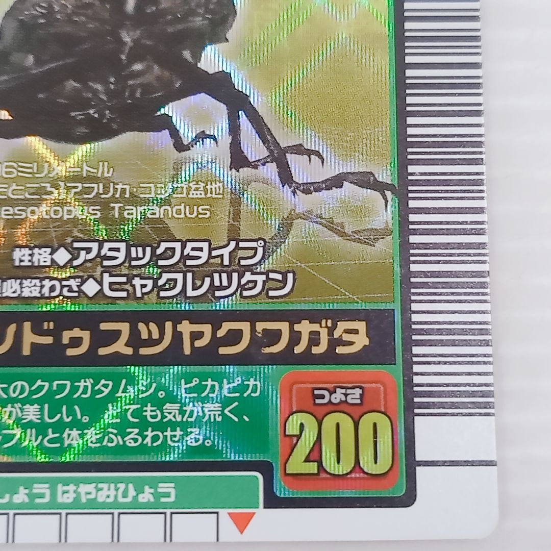 甲虫王者ムシキング 2003秋 金レア タランドゥスツヤクワガタ 029A