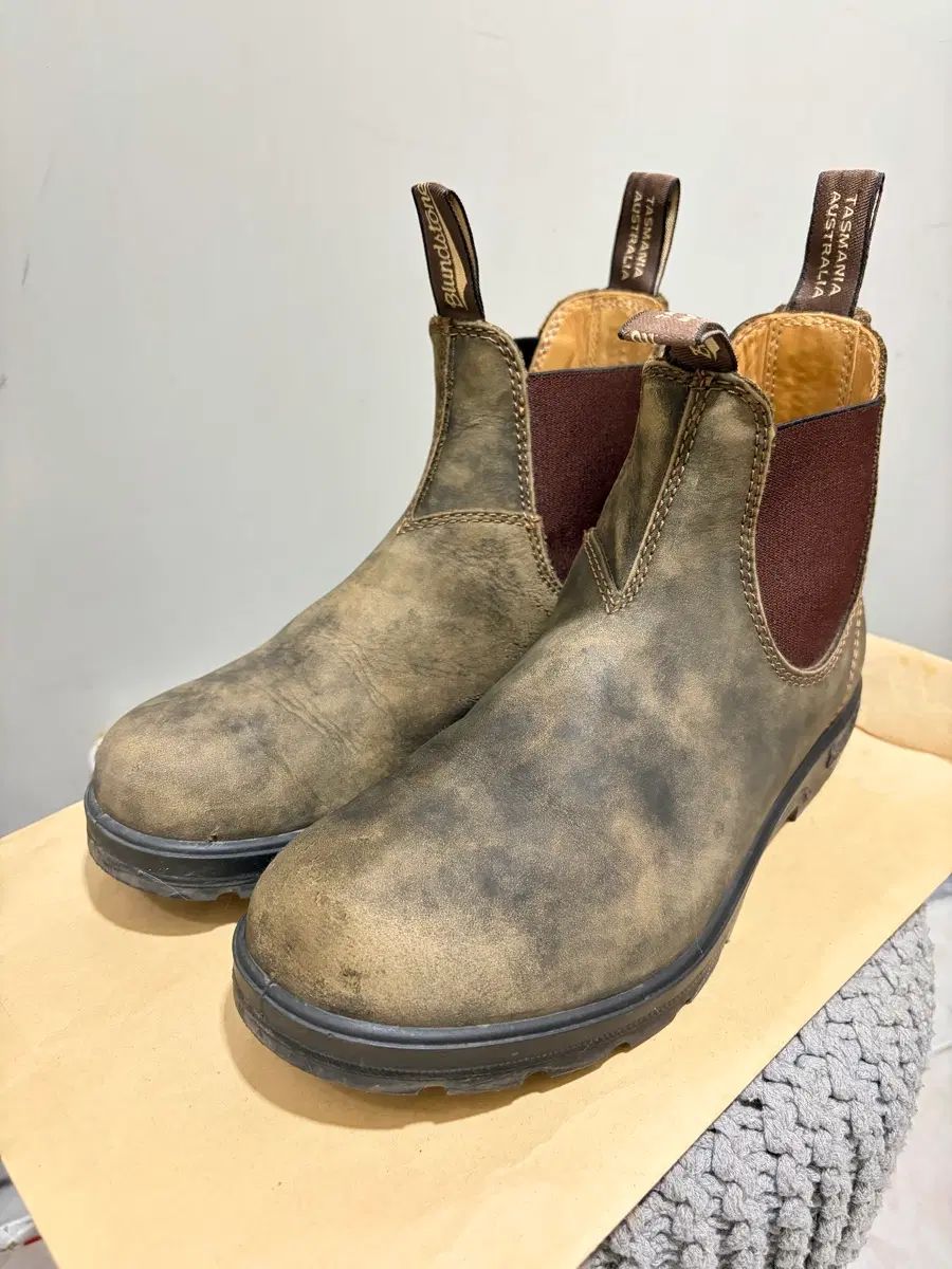 Blundstone(ブランドストーン) 585 6 1/2 (255)