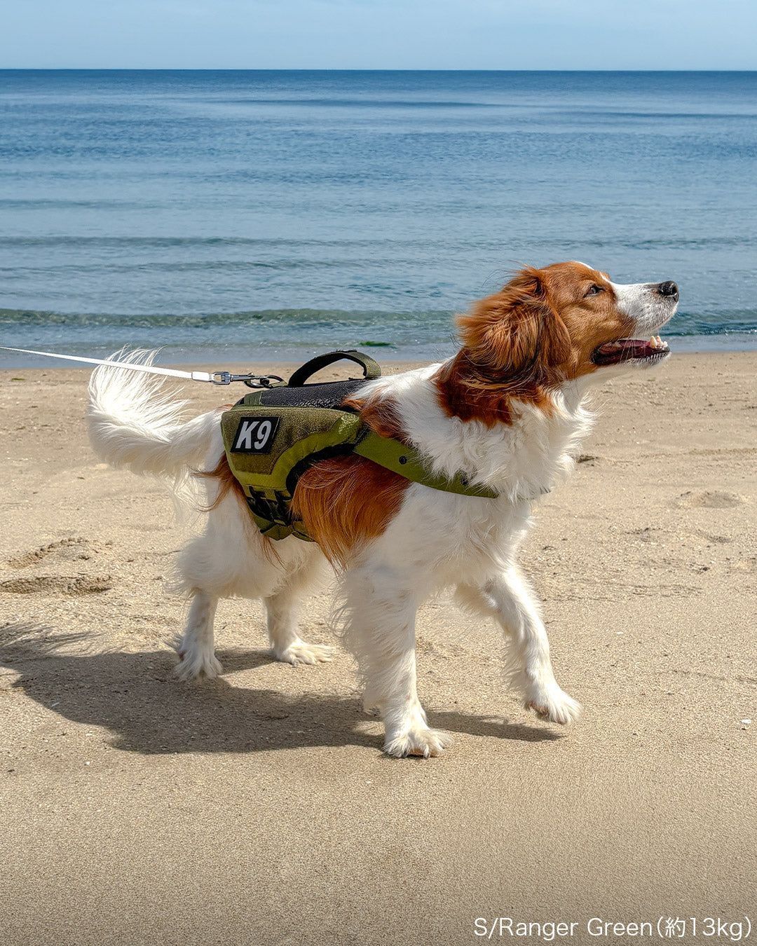 KILONINER キロナイナー ウォーターフローティングベスト 犬用 Sサイズ Ranger Green Aqua 水遊び ライフジャケット