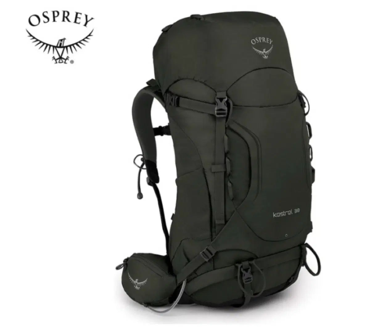 オスプレイ(OSPREY) キャッスル 38 グリーン 登山用バッグ リュックサック