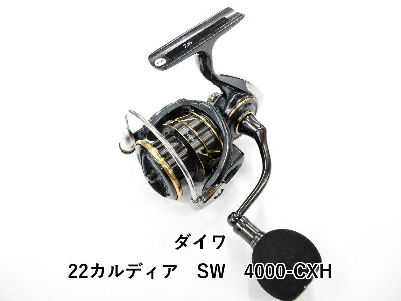 ダイワ 22カルディア　SW　4000-CXH (01-9108130004)