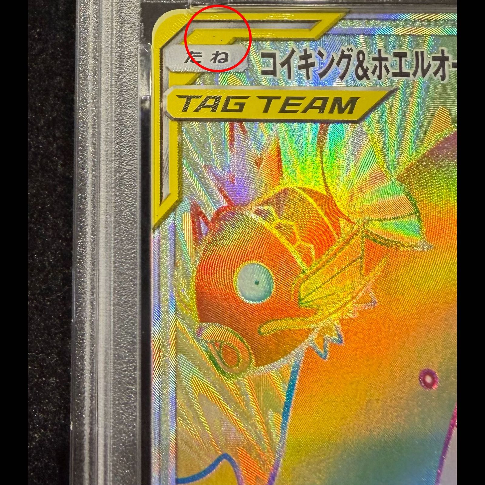 PSA10】コイキング＆ホエルオーGX HR 111/095 1枚 - メルカリ