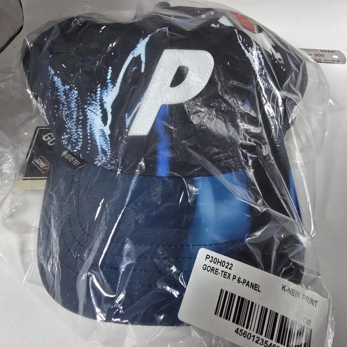 パレス ゴアテックス P 6パネル キャップ K-NEIN プリント