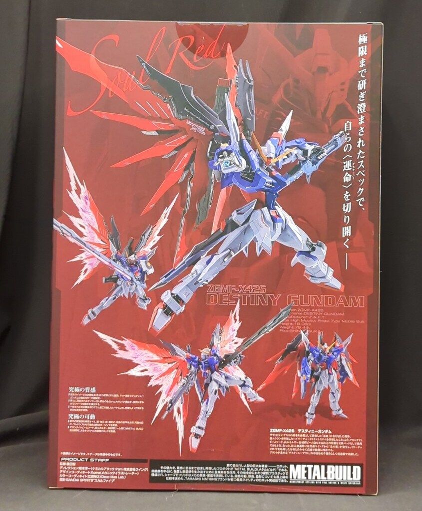BANDAI SPIRITS METAL BUILD 機動戦士ガンダムSEED DESTINY