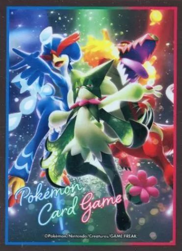 [Used] Supply Pokemon Card Game Deck Shield (Sleeve) Mascaña & Loudborn & Wernibal Pokemon Center Limited