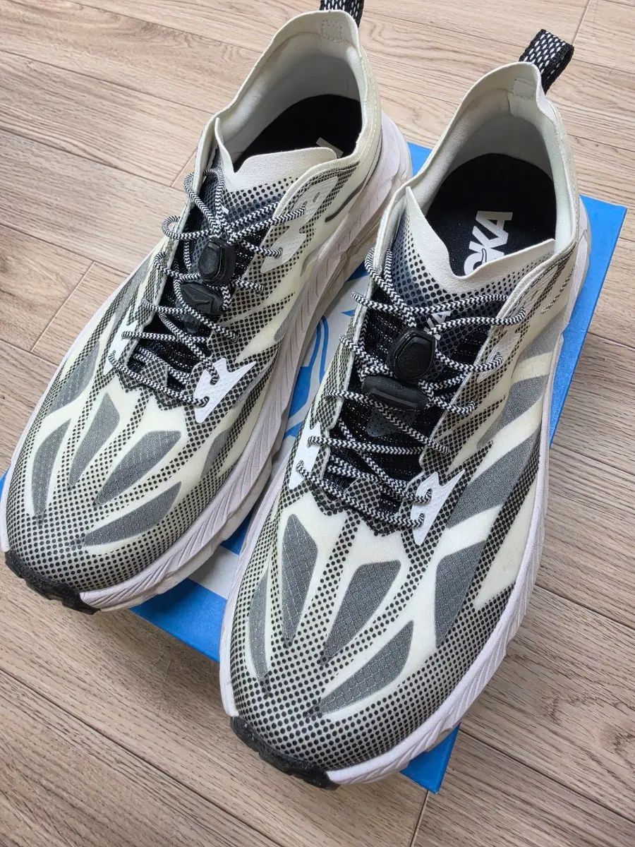 HOKA ONE ONE ホカオネオネ 麻マファテ スピード 4 265 出品