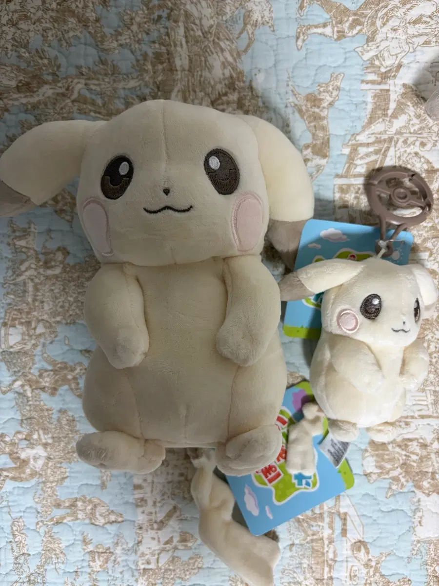 ポケットモンスター ポコピァ クリーチー パラカ パーカ ぬいぐるみ + キーホルダー