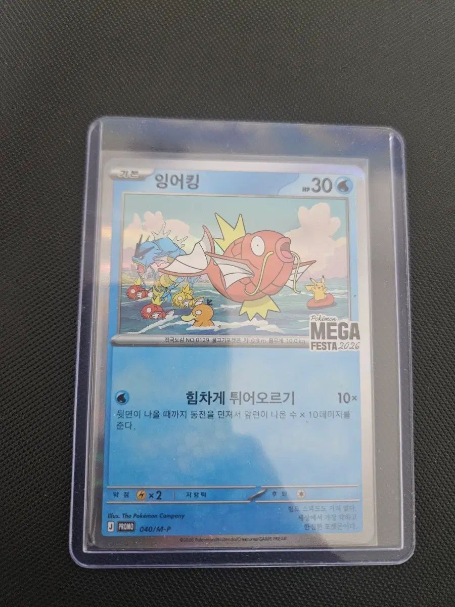 ポケモンカード コイキング プロモカード
