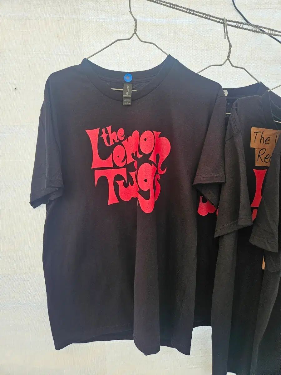 レモントゥイッグス Lemon Twigs Tシャツ XL 6,395円