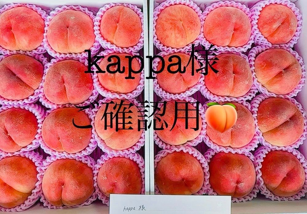 ?kappa様ご確認用?