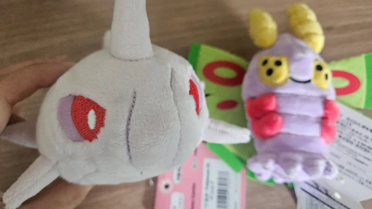 ポケットモンスターfit カスgreencarCAYL(ケイル) KUN(クン) 6,459円