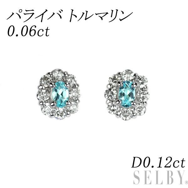 Rare Pt950/ Pt900 Paraiba Tourmaline Diamond Earrings 0.06ct D0.12ct
