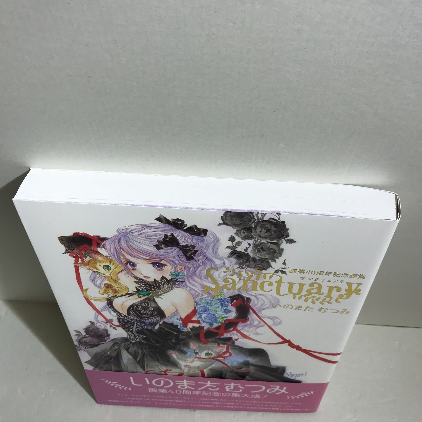 八戸第2-4-111] いのまたむつみ 画業40周年記念画集 Sanctuary 【公式