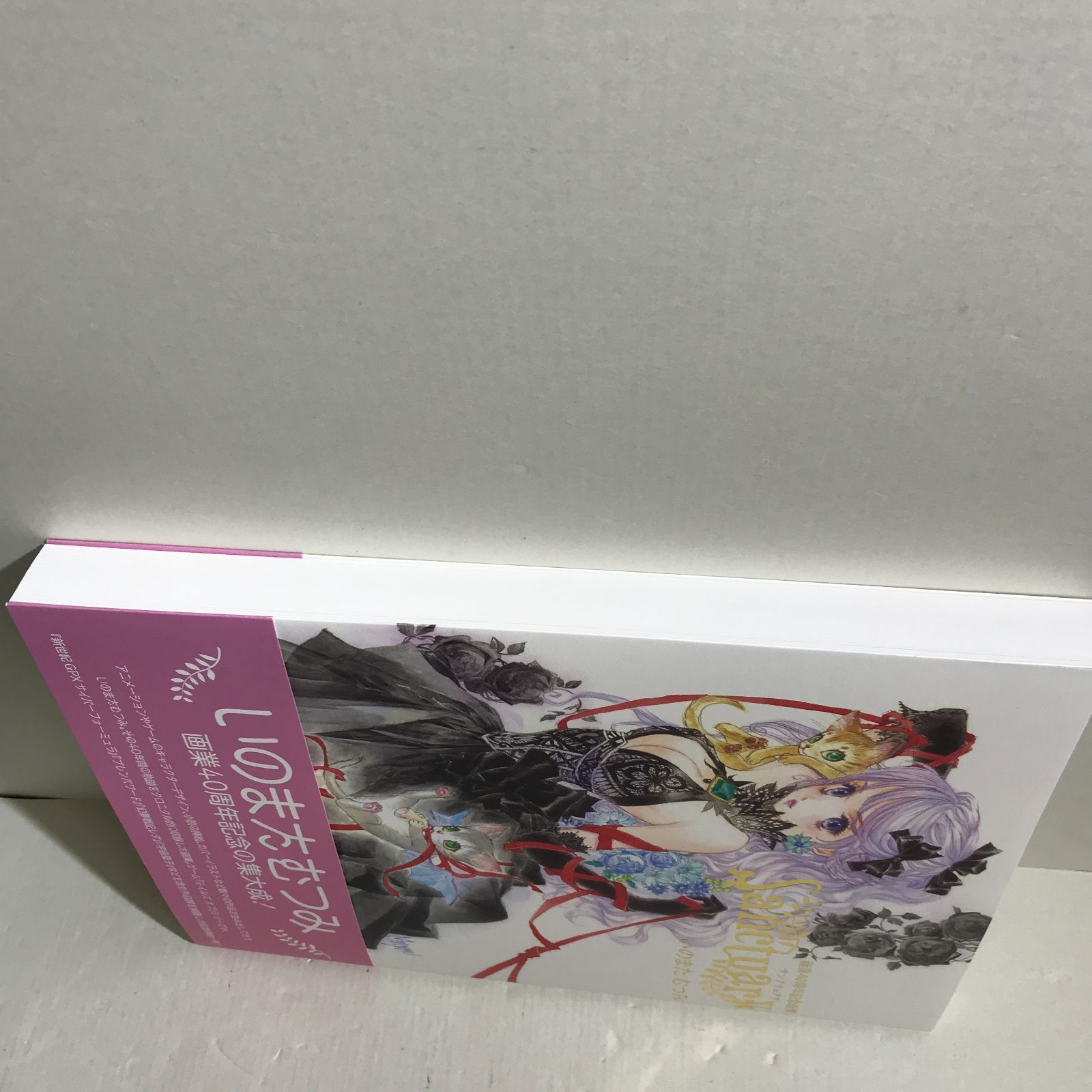 八戸第2-4-111] いのまたむつみ 画業40周年記念画集 Sanctuary 【公式