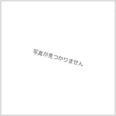 (2025/11)仮面の魂(CHAMPION/ゼロワンVS滅イラスト)【CP】{CB30-CP04}《多》 435,556円