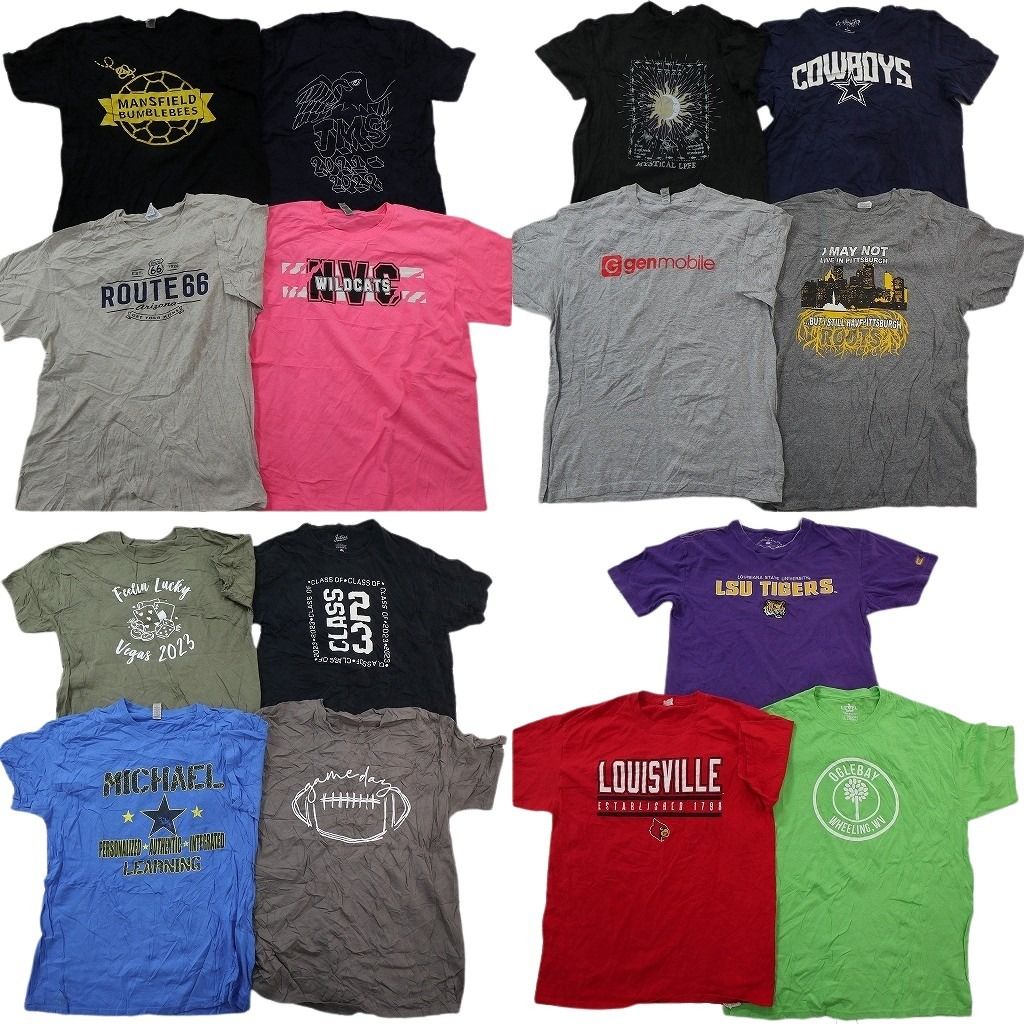 古着卸 まとめ売り プリント Tシャツ 15枚セット ( メンズ L ) プロチーム NFL カウボーイズ アーチロゴ アニマル 中古 古着 NG1061