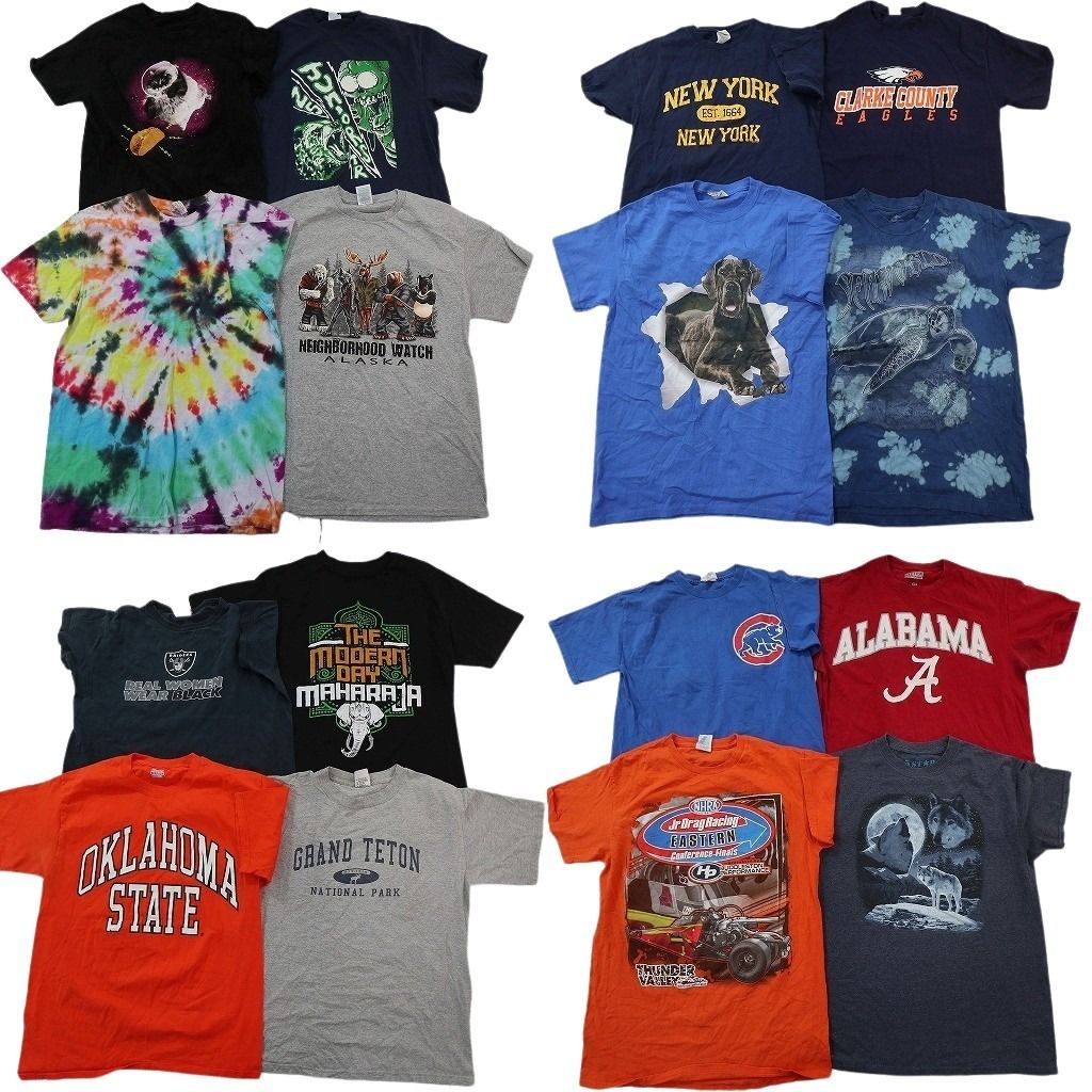 古着卸 まとめ売り プリント Tシャツ 16枚セット ( メンズ M[ ) カレッジ風ロゴ アーチロゴ アニマル レーシング タイダイ柄 古着 NG1069 14,322円