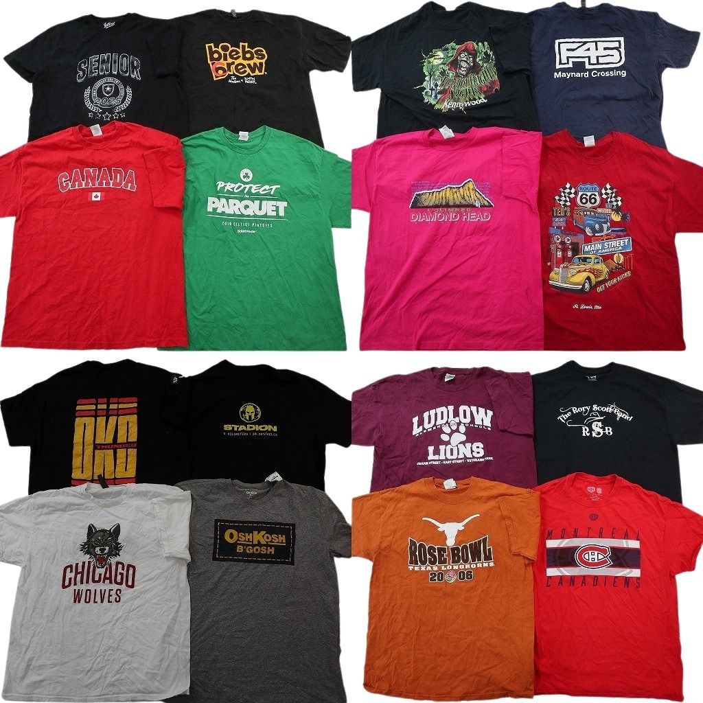 古着卸 まとめ売り プリント Tシャツ 16枚セット ( メンズ XL ) プロチーム NHL カナディアンズ アニマル レーシング 中古 古着 NG1071