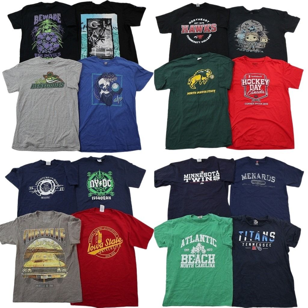 古着卸 まとめ売り プリント Tシャツ 16枚セット ( メンズ M ) プロチーム MLB ツインズ カレッジ風ロゴ アーチロゴ アニマル 古着 NG1078