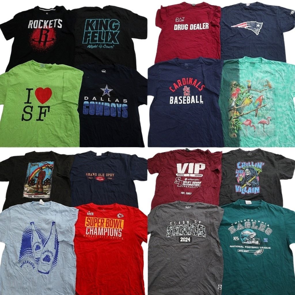 古着卸 まとめ売り プリント Tシャツ 16枚セット ( メンズ L ) プロチーム NFL カウボーイズ ペイトリオッツ チーフス 中古 古着 NG1132