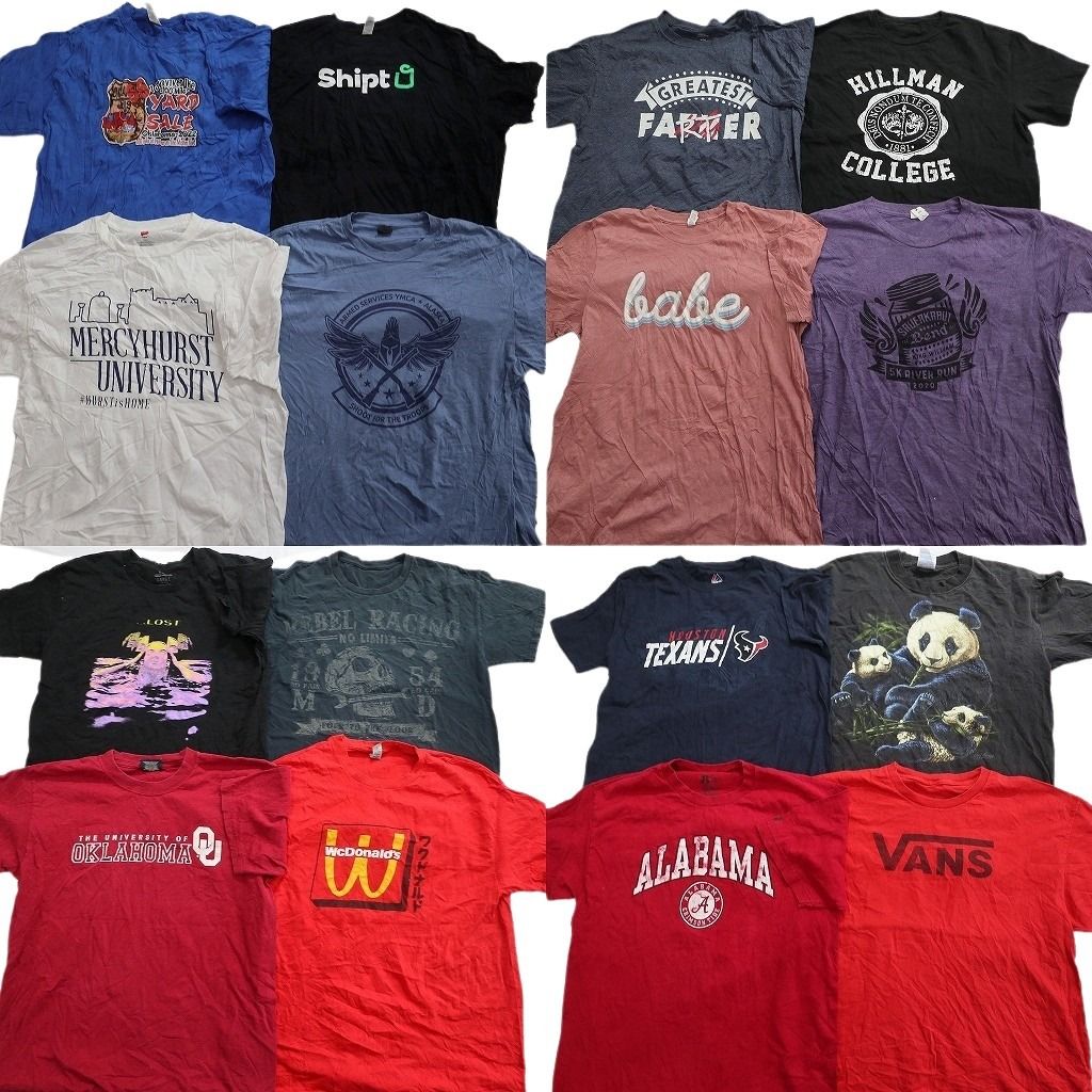 古着卸 まとめ売り プリント Tシャツ 16枚セット ( メンズ L ) VANS カレッジ風ロゴ アニマル アーチロゴ スカル 中古 古着 NG1136