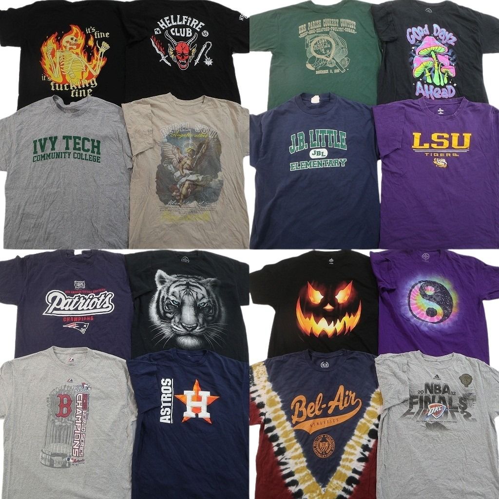 古着卸 まとめ売り プリント Tシャツ 16枚セット ( メンズ L ) プロチーム NFL ペイトリオッツ MLB レッドソックス NBA サンダー NG1153