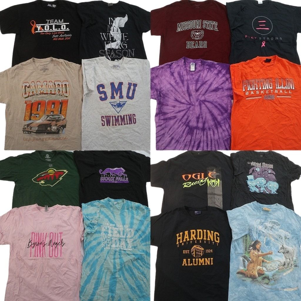 古着卸 まとめ売り プリント Tシャツ 16枚セット ( メンズ L ) カレッジ風ロゴ アニマル キャラクター レーシング 中古 古着 NG1159