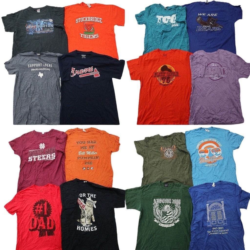 古着卸 まとめ売り プリント Tシャツ 16枚セット ( メンズ L ) プロチーム MLB ブレーブス カレッジ風ロゴ アニマル 中古 古着 NG1171