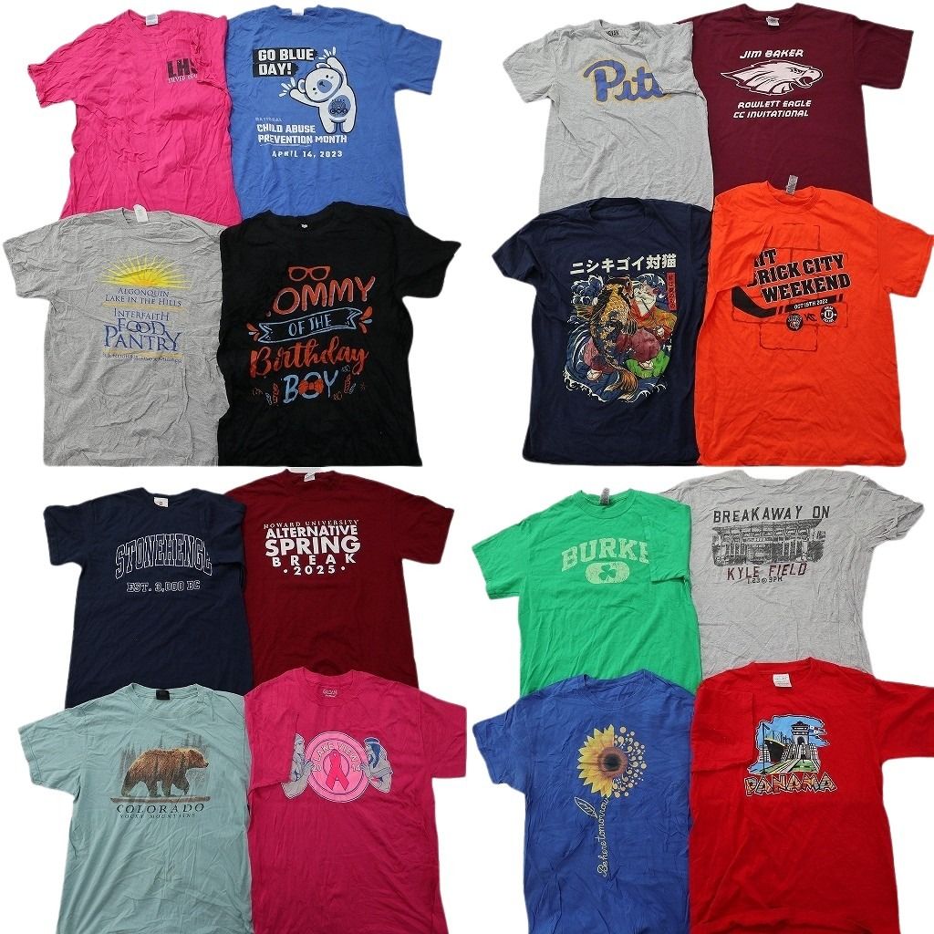 古着卸 まとめ売り プリント Tシャツ 16枚セット ( メンズ M ) カレッジ風ロゴ アニマル ネイティブ 英文字プリント 中古 古着 NG1173 13,206円