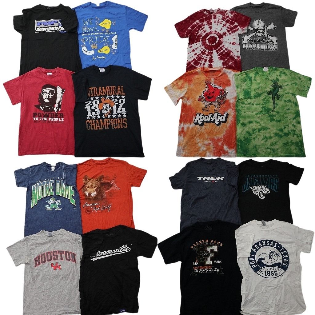古着卸 まとめ売り プリント Tシャツ 16枚セット ( メンズ S ) プロチーム NFL ジャガーズ アニマル スカル アーチロゴ 中古 古着 NG1176