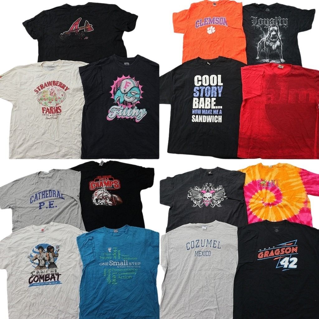 古着卸 まとめ売り プリント Tシャツ 15枚セット ( メンズ 3XL/2XL/XL/ ) カレッジ風ロゴ フットボール アニマルモチーフ 古着 NG1207
