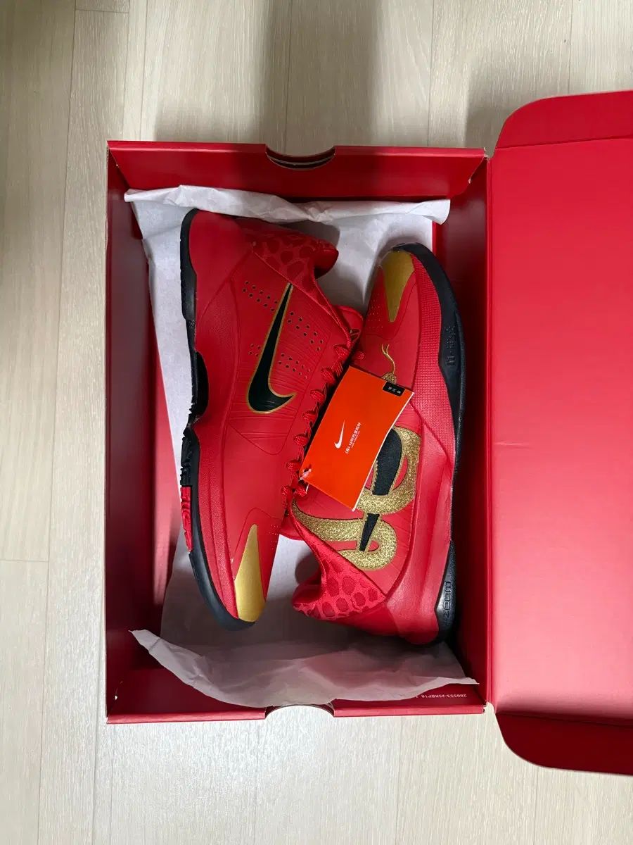 (新品) NIKE コービー5 プロトロ バスケシューズ 255