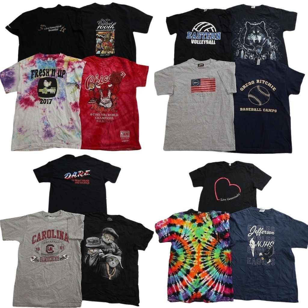 古着卸 まとめ売り プリント Tシャツ 14枚セット ( メンズ Ｍ ) 星条旗 アニマル プロチーム NBA ブルズ 中古 古着 NG0874