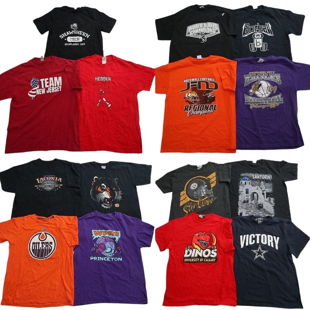 古着卸 まとめ売り プリント Tシャツ 15枚セット ( メンズ Ｌ ) アニマルモチーフ プロチーム MLB ホワイトソックス 中古 古着 NG0875
