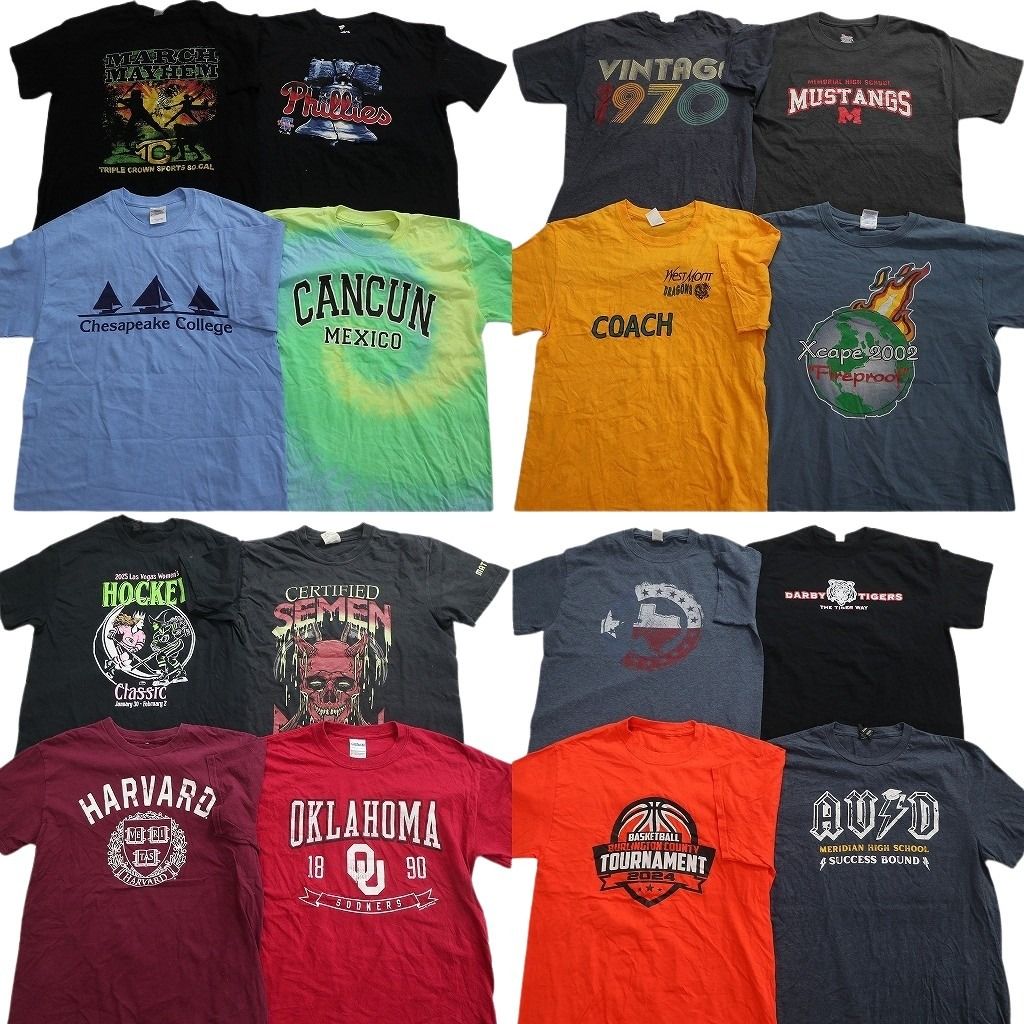 古着卸 まとめ売り プリント Tシャツ 16枚セット ( メンズ M ) アニマル スカル カレッジロゴ アーチロゴ 大判プリント 中古 古着 NG0689