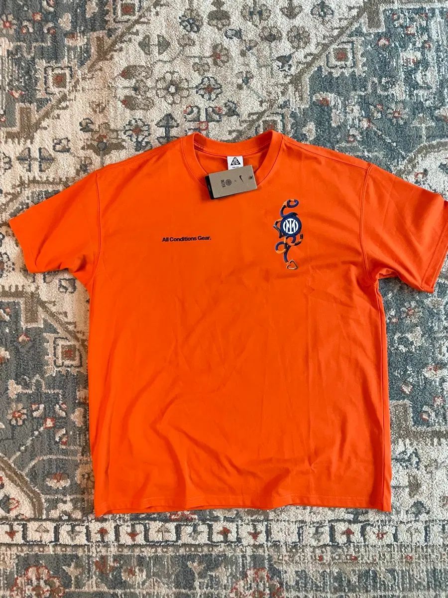 ナイキ インテル ミラン ACG 半袖T (新品 XXL)