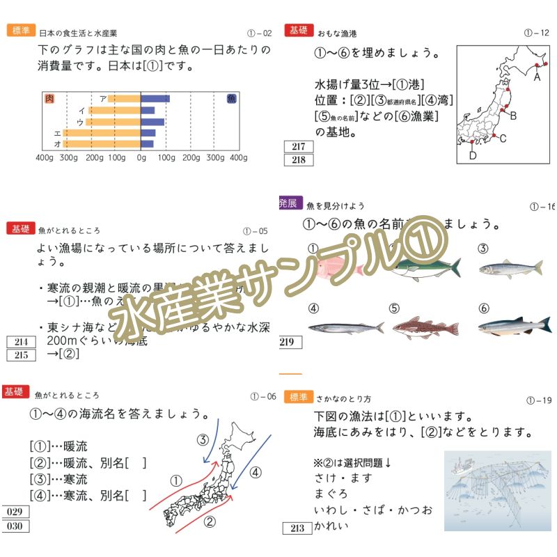 中学受験 暗記カード 極める地理(分野別) サピックス コアプラス 予習